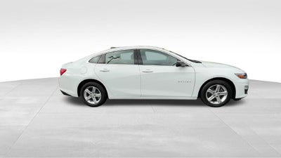2023 Chevrolet Malibu LS 1FL