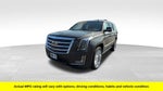 2020 Cadillac Escalade Platinum Edition