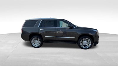 2020 Cadillac Escalade Platinum Edition
