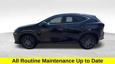 2023 Lexus NX 350 Premium