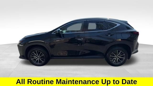 2023 Lexus NX 350 Premium