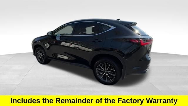 2023 Lexus NX 350 Premium