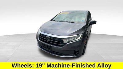 2024 Honda Odyssey Touring