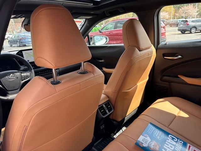 2025 Lexus UX 300h Premium