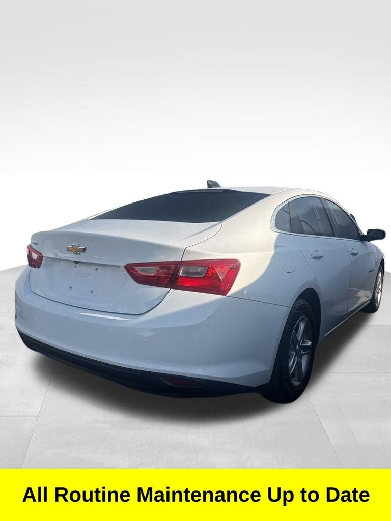 2019 Chevrolet Malibu LS 1LS