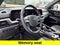 2024 Kia Telluride SX-Prestige X-Pro