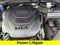 2024 Kia Telluride SX-Prestige X-Pro