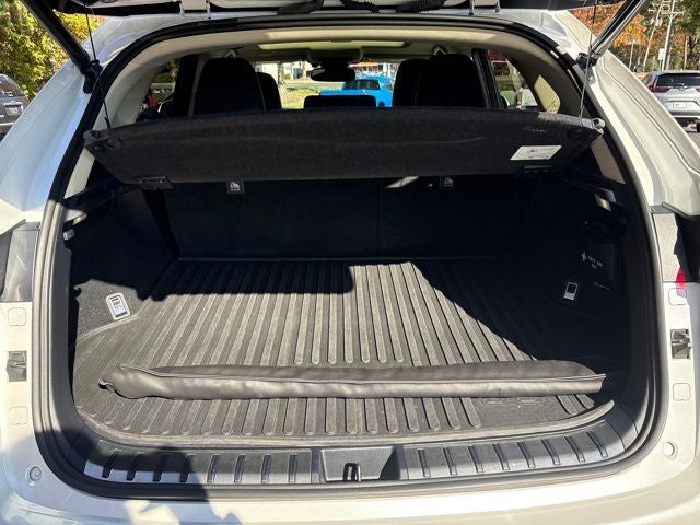 2021 Lexus NX 300h Luxury