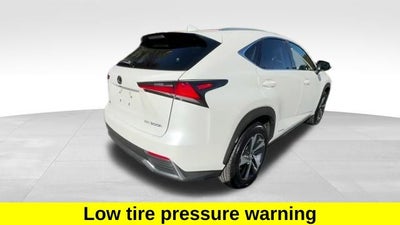 2021 Lexus NX 300h Luxury