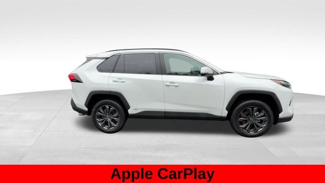 2025 Toyota RAV4 Hybrid XLE Premium