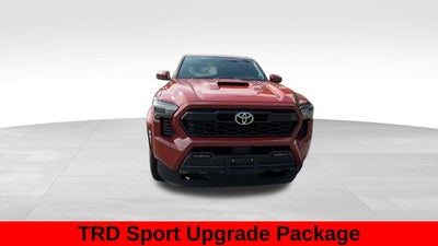 2025 Toyota Tacoma Hybrid TRD Sport